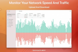 NetWorker Pro 7.5.2 中文破解版 (网速时实监控工具)