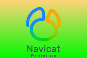 Navicat Premium 16 for Mac(数据库管理软件)v16.1.3中文激活版