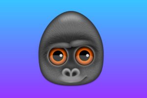 Debookee for Mac(网络数据抓包及分析工具)